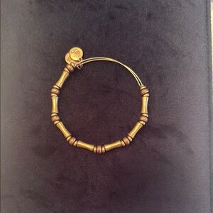 Alex and Ani Gold Beaded Bracelet